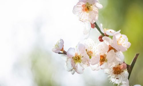 盘点西班牙非盈利优势与不足！