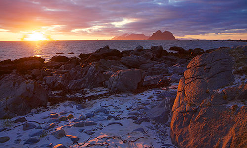 如何申请加拿大联邦技术移民EE项目？需要雇主吗？