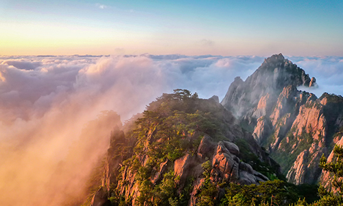 澳洲签证知识小课堂，186雇主担保永居签证