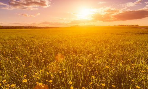 西班牙老板签证，快速拿身份！